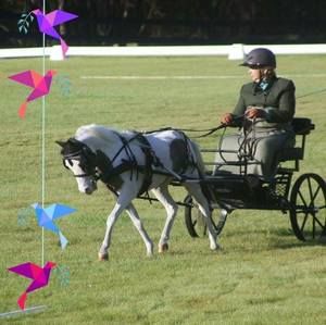 Meet your Posher, Julie